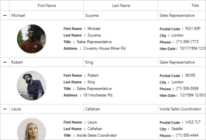 1561970860.png winforms-datagrid-preview-row.png