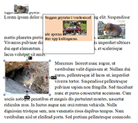 1563781323.png pictures_edit.png