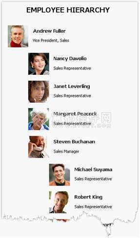 FastReport.NET报表控件使用教程 - 层次结构的打印